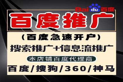 SEM托管服务，案例分享转化成果